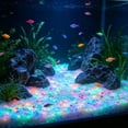 thumbnail image 6 of Glow in The Dark Aquarium Gravel, Luminous Sand Stones for Fish Tank Decoration, Noctilucent Substrate for Freshwater Saltwater Aquarium, Betta Shrimp Tank Aquascape Decor and Underwater Night Scene, 6 of 6