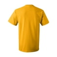 thumbnail image 3 of Fruit of the Loom HD Cotton T-Shirt for Men and for Women Short Sleeve Classic, 3 of 5