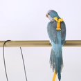thumbnail image 5 of TUEUIO1,Pet Bird Training Toy Portable Flying Rope For Pigeons Outside Walk Adjustable, 5 of 5