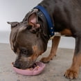 thumbnail image 6 of Dexypaws: Flower Slow Feeder - Blush Pink - Dog & Pet Mealtime Accessory, Fits Into Most 8" Bowls, Suction Base, Safe & Non-Toxic, Food-Grade Silicone, 6 of 7
