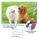 thumbnail image 3 of Correa Larga De Perros Cuerda Seguridad Para Entrenamiento, 3 of 8