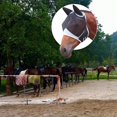 thumbnail image 1 of Fine mesh mosquito mask with ears for horse, 1 of 2