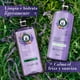 thumbnail image 5 of Shampoo Herbal Essences Anti-Frizz Lavanda & Aceite de Almendras 600 ml, 5 of 5