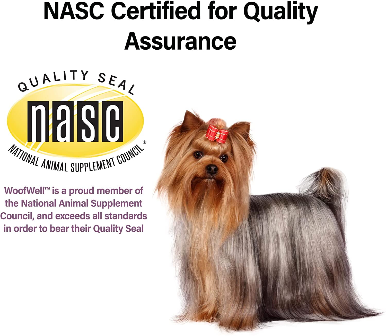 Best vitamins for yorkies hotsell