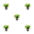 thumbnail image 2 of kurtrusly Realistic Artificial Succulent Low Maintenance Elegant Easy To Clean Artificial Money Tree In Pot white babysbreath 5Set, 2 of 6