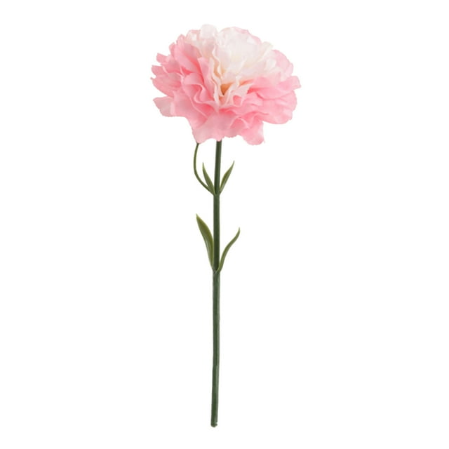 SHAGUOZHOU Carnation Flower Silk Bouquet Imitation Carnation Flower Realistic Imitation Flower Suitable Water for Flowers Roses Flowers in Vase Fall Hydrangea Flowers