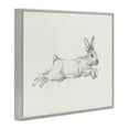 thumbnail image 3 of Stupell Industries Jumping Rabbit Sketch Animals & Insects Drawing Gray Framed Art Print Wall Art, 30 x 24, 3 of 9