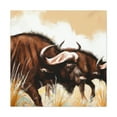 thumbnail image 1 of Bison of the Plains - Canvas, 1 of 10