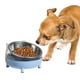 thumbnail image 1 of Dispensador de Estación de Alimentación Salvador cuenco de acero inoxidable soporte para gatos, 1 of 6