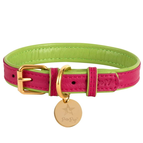 PoisePup Pet Dog Collar - Candy Swirl