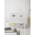 thumbnail image 4 of Crab And Sea Shell Diptych, Art Prints, 64.00" x 1.50", 4 of 6