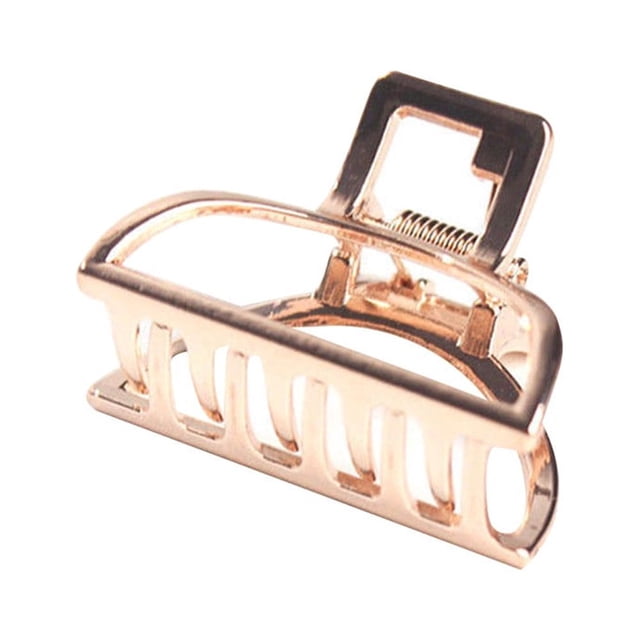 Pinces à Cheveux Grandes pour Dames, Petites Pinces à Cheveux, Pinces Papillon, Accessoires