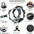 thumbnail image 5 of Scmkd Easy Walking No-Pull Dog Harness With Handle - Reflective Training, 5 of 5