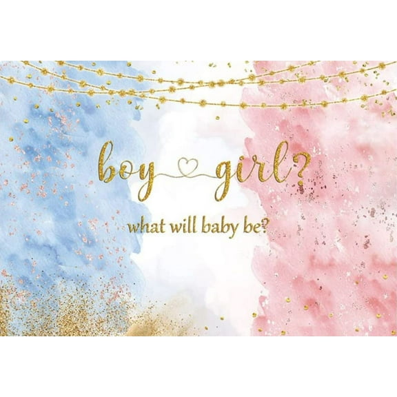 BBQ Gender Reveal Backdrop He or She Boy or Girl Baby Shower Birthday Theme Party Chalkboard Background Supplies Banner