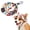 Love, variant on Outdoor Pets Sun Hat with Ear Holes, Adjustable Pet Bucket Hat ，Love：Large | Cute Breathable Cotton Canvas Beach Bonnet with Adjustable Chin Strap & Secure Fit for Small Medium Large Cats Dogs