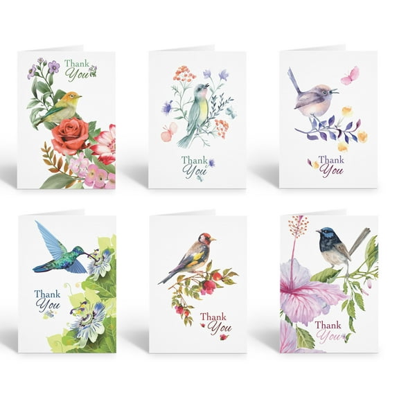 Stonehouse Collection | Assorted Watercolor Bird & Floral Thank You Note Card Se