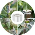 thumbnail image 6 of 200-Meter Stretchable Grafting Tape Roll for Tree and Fruit Branch Grafting, Home Garden Supplies, 6 of 7