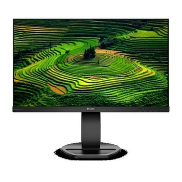 Philips  24 in. IPS Display Monitor