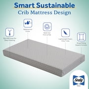 Sealy Butterfly Premium Firm Foam Crib Mattress and Toddler Mattress, Hospital-Grade Cover