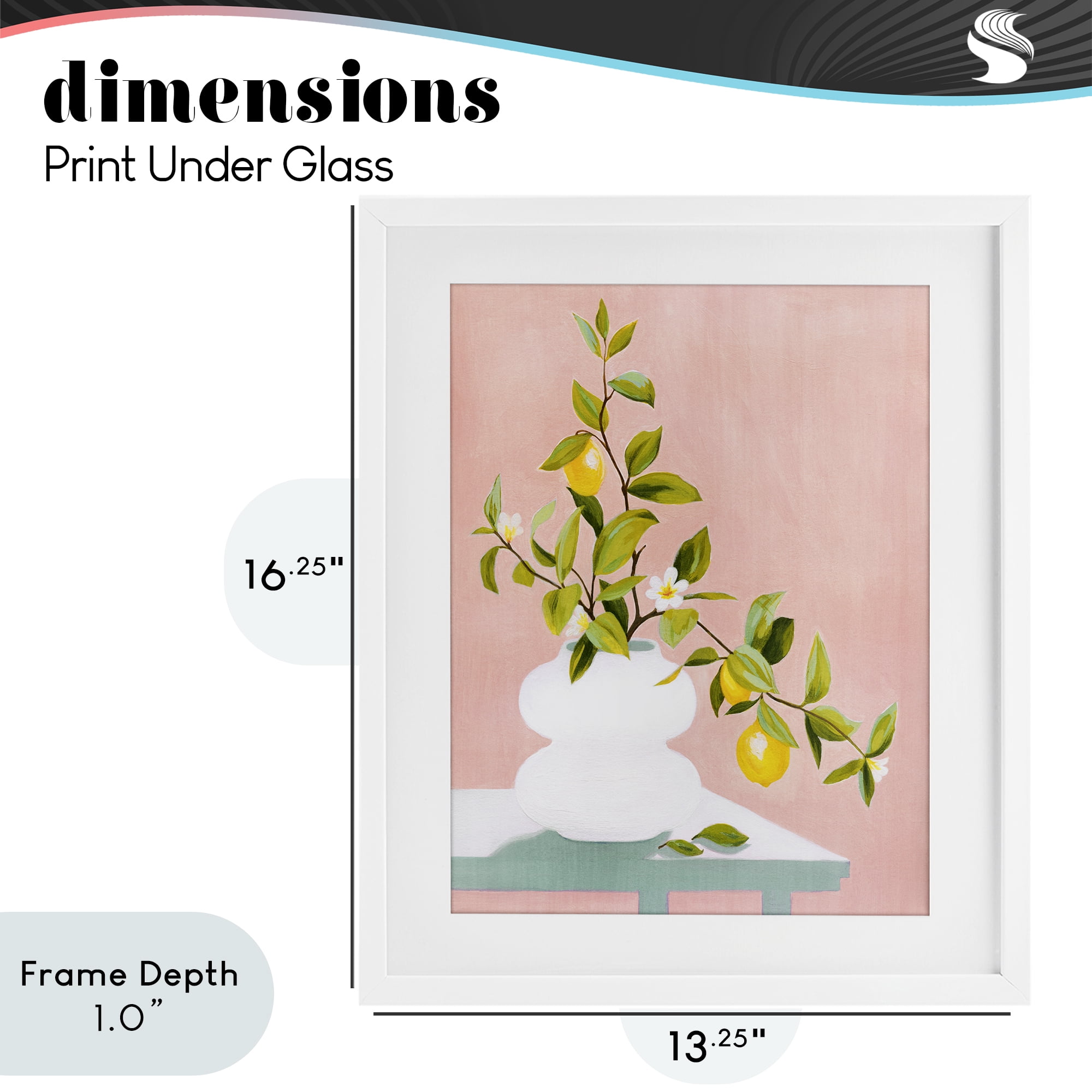 Stupell Industries Afternoon Limoncello Plant White Framed Print Under Glass, design by Grace Popp