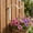 Iron Wall Hook Under $5 a3, variant on Tusihei Iron Wall Hook, Curved Heavy Duty Metal Wall Mount Bracket Hook, Plant Hanger Fence Metal Bracket for Outdoor Flower Basket Lamp Wind Chime Indoor Decor
