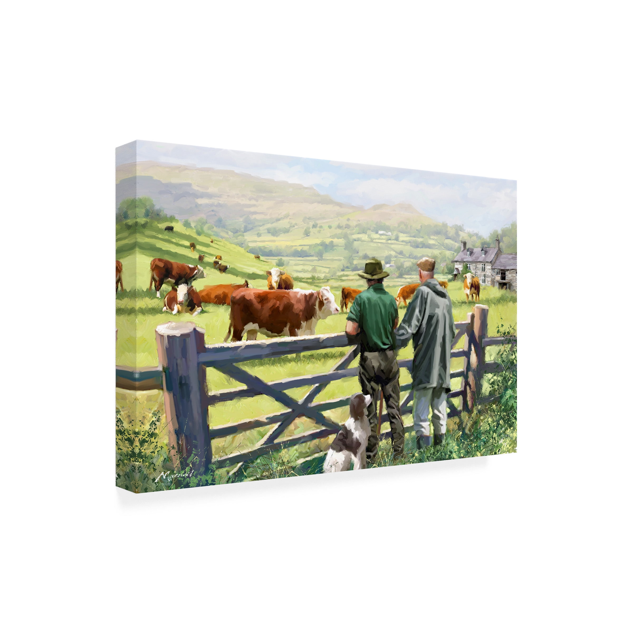 The Macneil Studio 'Hereford Cattle' Canvas Art
