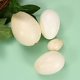 thumbnail image 4 of 4pcs in 1 Suit Bird Eggs Model Simulation Egg Speckled Eggs for Gifts Children(Assorted Color), 4 of 6