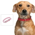 thumbnail image 4 of Collar de cuero para perros Apuakthei, collares ajustables para cachorros, collares para perros pequeños, collar multicolor para mascotas, 4 of 5