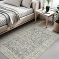 thumbnail image 4 of SIXHOME 3'x5' Area Rugs for Living Room Washable Rugs Vintage Floral Living Room Rug Traditional Aesthetic Carpet Soft Rugs for Bedroom Dining Room Office Retro Home Decor Gray, 4 of 8