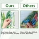 thumbnail image 3 of Calcomanías estáticas para ventanas con tulipanes grandes, flores de primavera, mariposas, colores vibrantes, vinilo de doble cara no adhesivo., 3 of 9