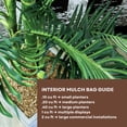 thumbnail image 6 of Decorative Mulch for Indoor Planters – Natural Mocha | 65 Qts (2 cu ft), 6 of 8