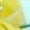 Yellow, variant on Toddler Sneakers, High-top Silhouette, Faux Laces & Rubber Toe Tips, For All Casual Occasions
