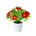thumbnail image 1 of Ltdhehe Bonsai Desk Arrangement Home Centerpiece Wedding, 1 of 5