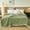 Green, variant on yulier Twin Blanket for Bed, 79" x 59" Cozy Soft Warm Flannel Fleece Blanket, Bed Blanket All Season Use, Large Throw Blanket for Couch Sofa, Gray