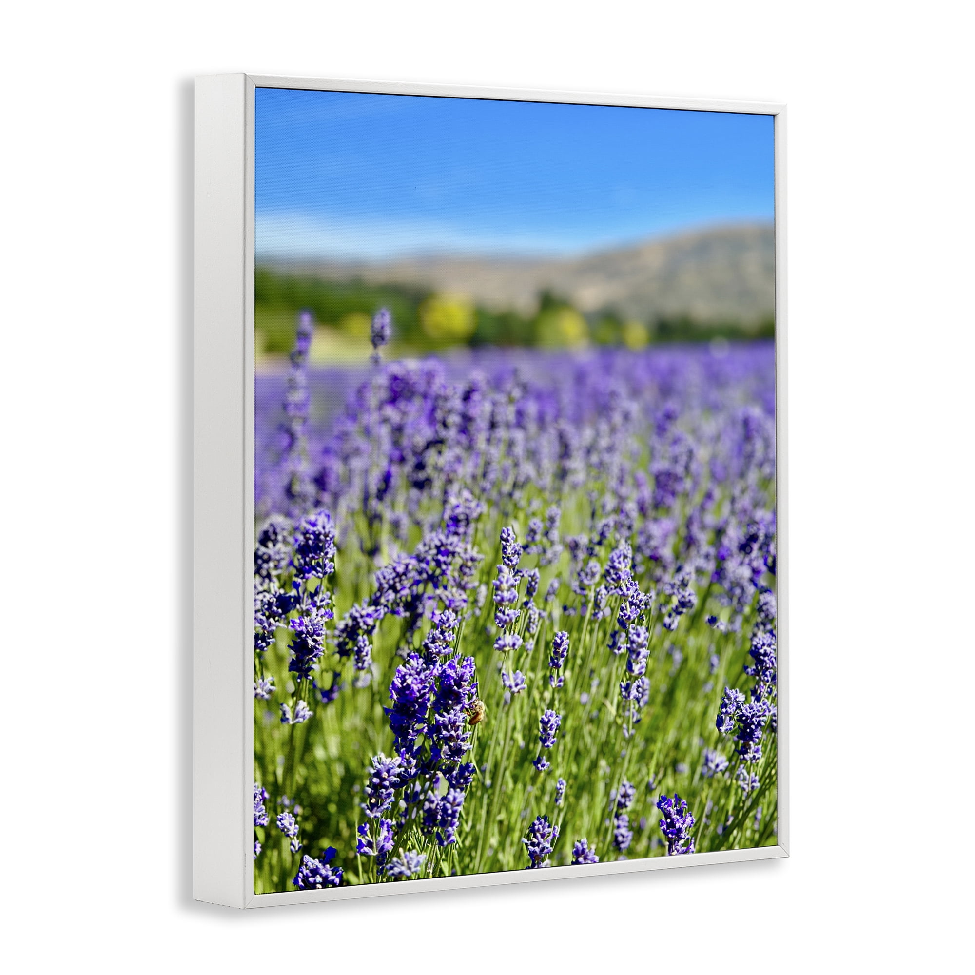 Stupell Industries Lavender in the Wind Landscape Photography White Framed Art Print Wall Art, 24 x 30