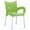 Apple Green, variant on Compamia Romeo Resin Dining Arm Chair Black, Set of 2