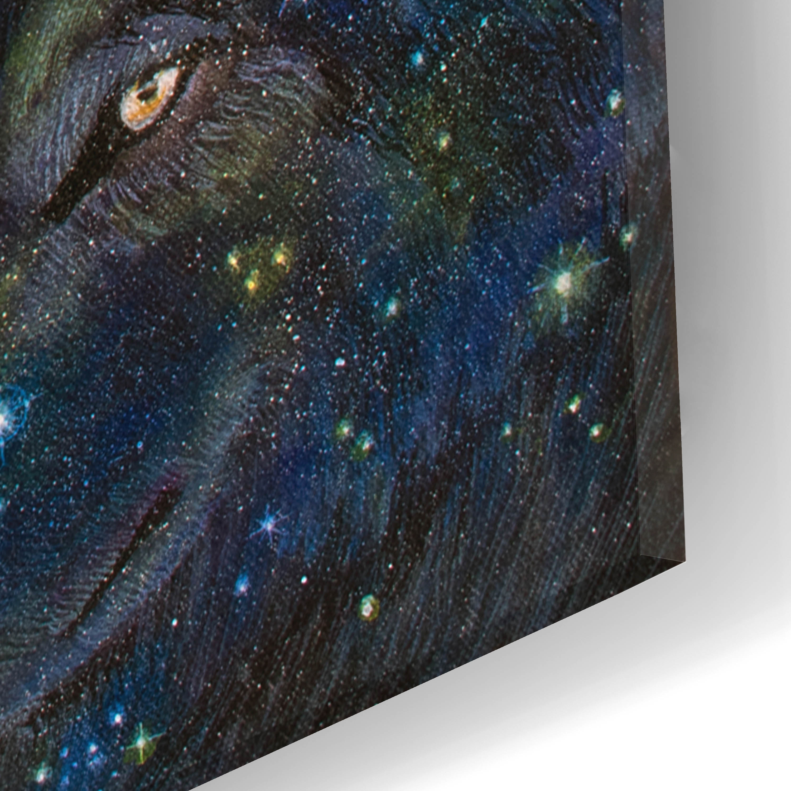 Epic Art 'Honor'  by Verena Wild Acrylic Glass Wall Art, 16" x 24"
