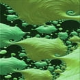 thumbnail image 1 of Ahgly Company Machine Washable Indoor Square Transitional Deep Emerald Green Area Rugs, 5' Square, 1 of 7