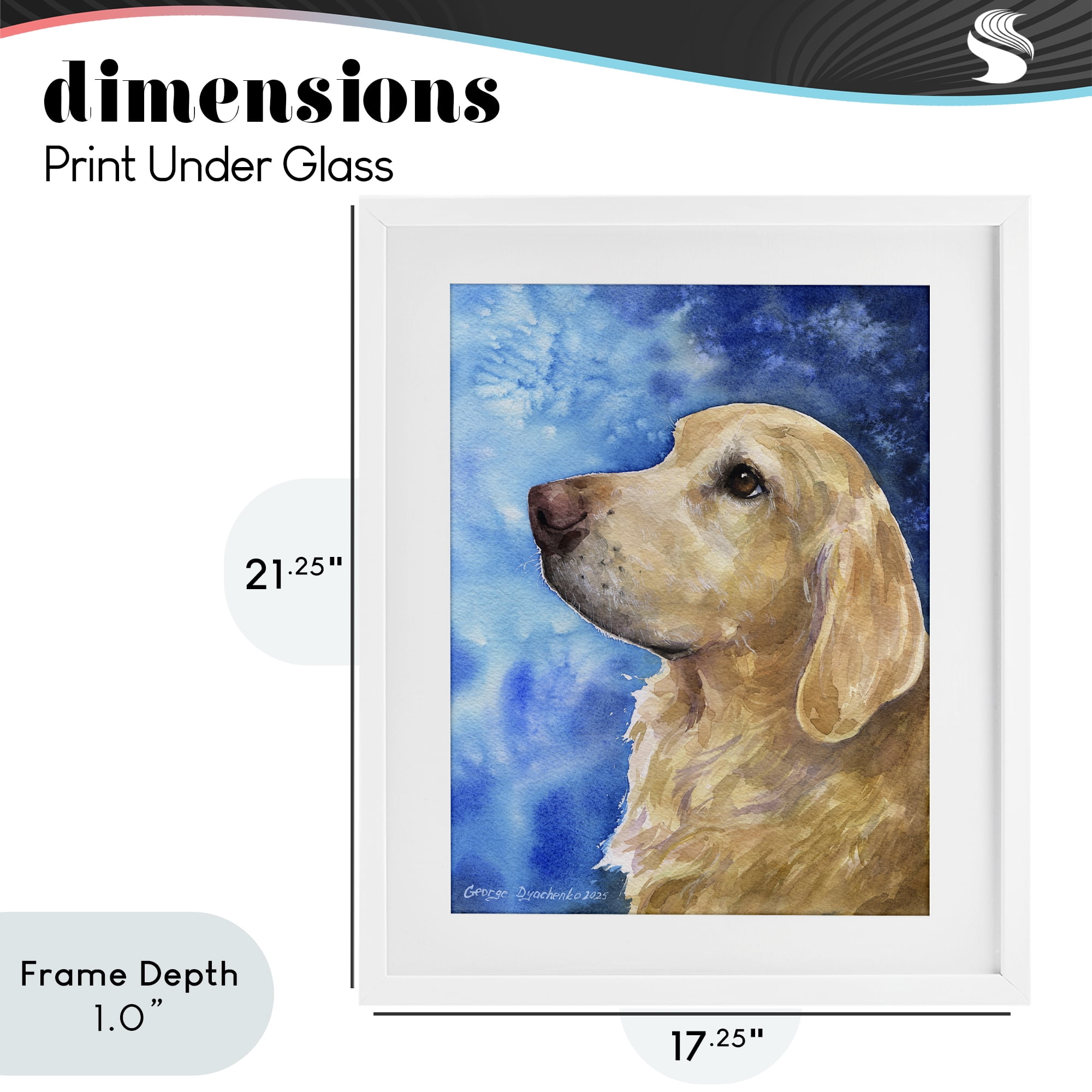 Stupell Industries Golden Retriever Portrait on Azure White Framed Print Under Glass, design by George Dyachenko