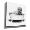 thumbnail image 2 of Epic Graffiti 'Bison in Tub' by Rachel Nieman, Canvas Wall Art, 12"x12", 2 of 3