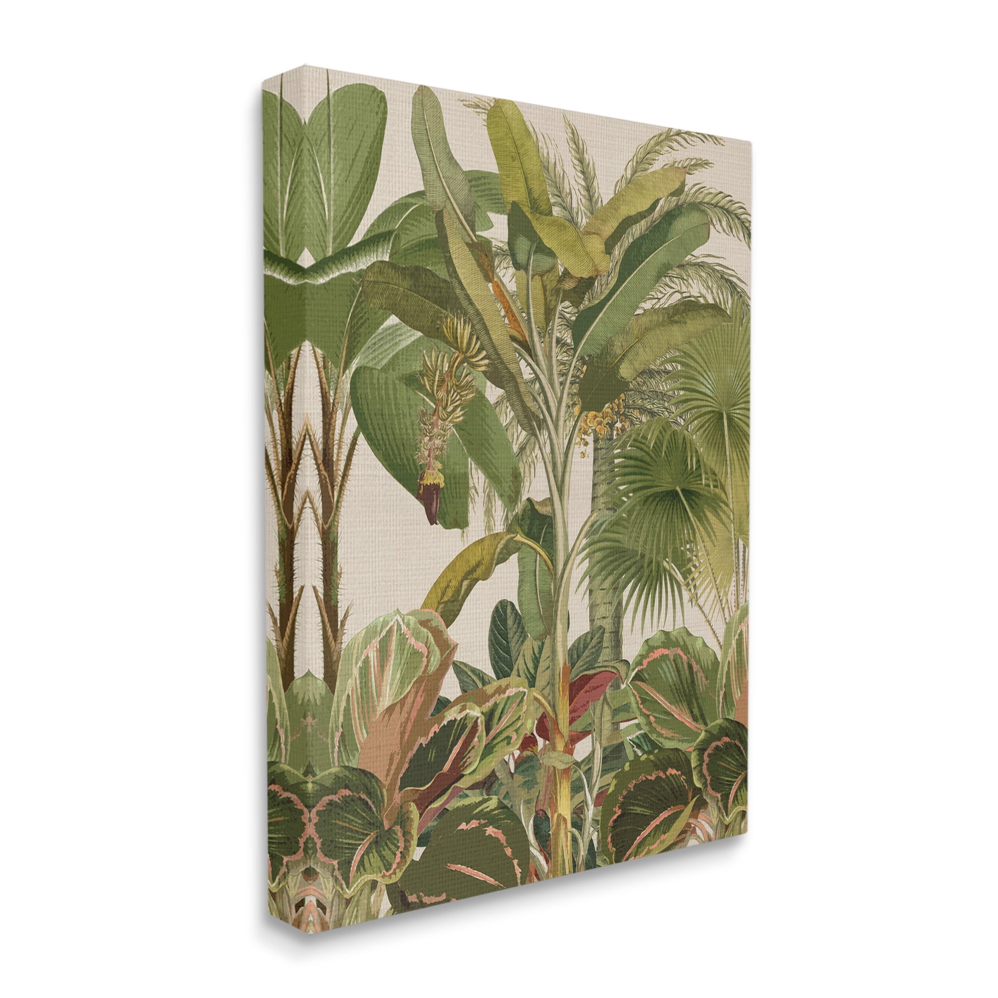 Stupell Industries Tropical Jungle Vegetation Botanical & Floral Painting Gallery Wrapped Canvas Art Print Wall Art, 16 x 20