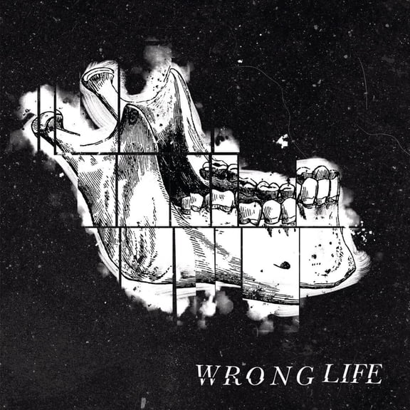Wrong Life - Wrong Life - Music & Performance - Vinyl
