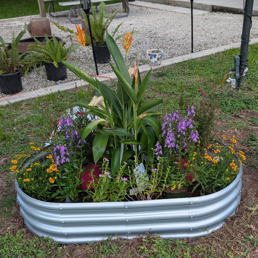 TRAMULL 4*2*1FT Raised Garden Bed Kits, Outdoor Oval Metal Galvanized Ground Planter Garden Boxes for Planting Plants Vegetables