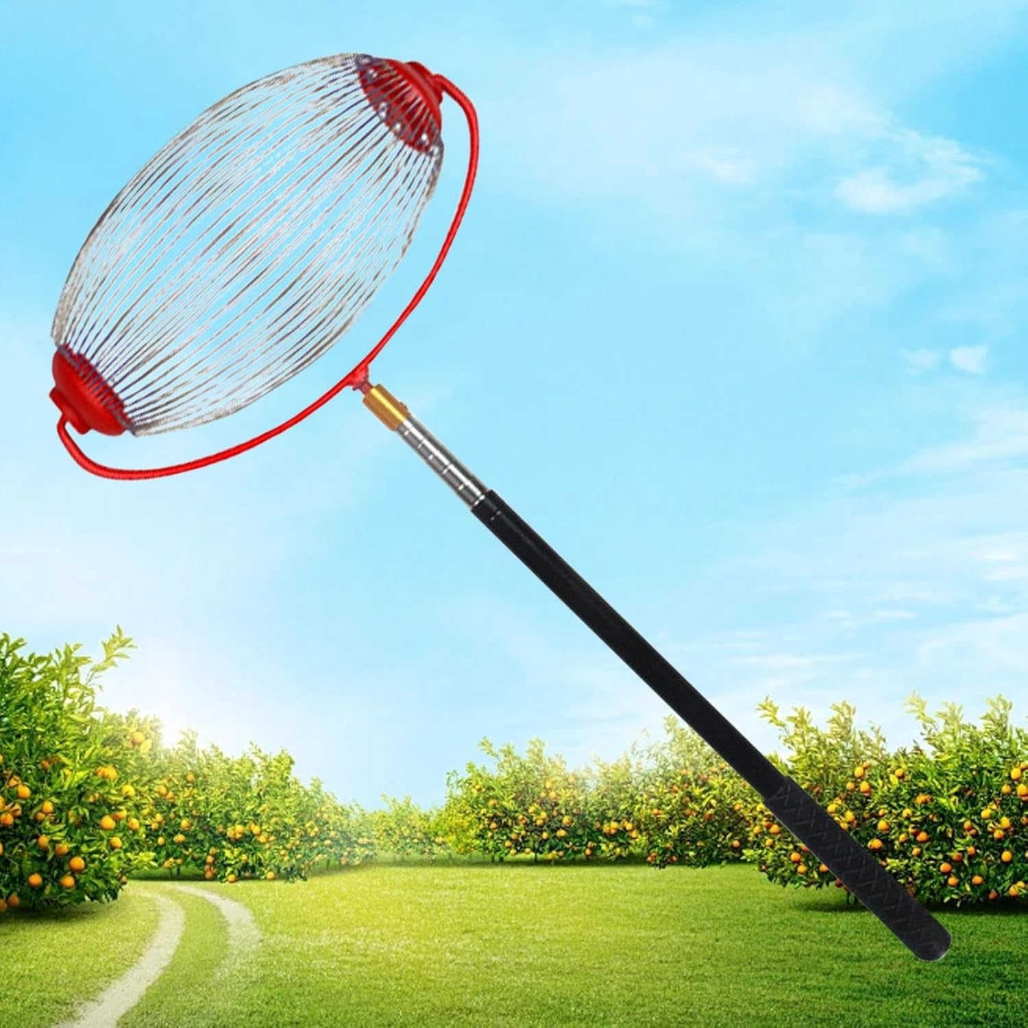 Telescopic Walnut Picker & Nut Gatherer – Blue Aluminum Alloy With Dump Design