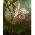 thumbnail image 2 of Heade, Martin Johnson 15x18 White Modern Wood Framed Museum Art Print Titled - Orchid Blossoms, 2 of 4