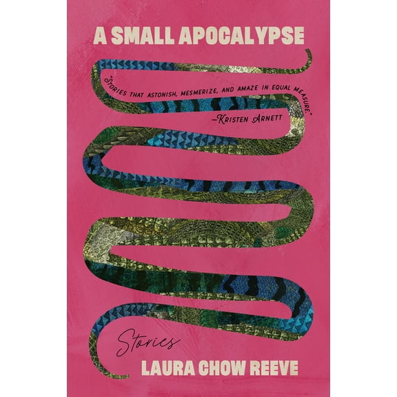 Pre-Owned A Small Apocalypse: Stories (Paperback) 0810146940 9780810146945