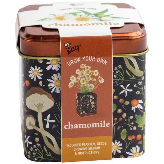 Buzzy Chamomile Herb Grow Kit With Decorative Floral Tin Item 97208