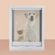 thumbnail image 4 of Puerta con solapa para gatos Yuyangstore Plástico ABS M Blanco, 4 of 7