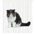 thumbnail image 2 of Ambesonne Kitty Shower Curtain, Surprised Cat Plain Back View, 69"Wx84"L, Charcoal Grey White and Tan, 2 of 4