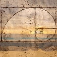 thumbnail image 3 of Wiley, Marta 12x12 Black Modern Framed Museum Art Print Titled - Fibonacci Shell, 3 of 5